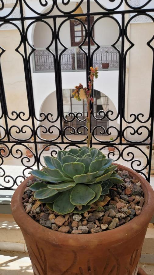 Riad Nohad Marrakech Marraquexe Exterior foto